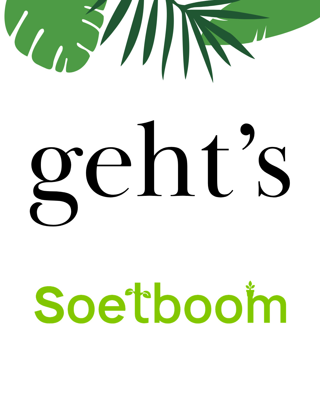 Instagram-Beitrag von Soetboom mit dem Schriftzug geht’s und grünen Blättern
