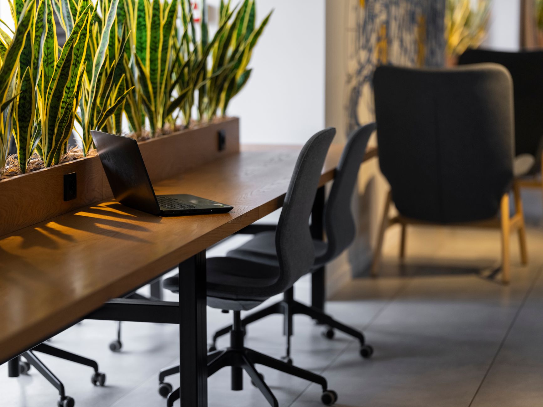 Moderne Arbeitsplätze mit grünen Pflanzen